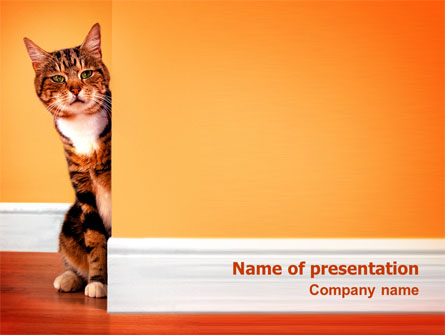Curious Cat Presentation Template, Master Slide