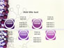 DNA On A Violet slide 19