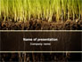 Soil slide 1