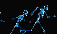 Human Skeleton Presentation Template