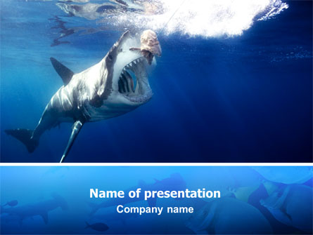 Shark Hanting Presentation Template, Master Slide