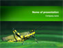 Grasshopper slide 1