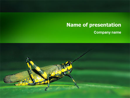 Grasshopper Presentation Template, Master Slide
