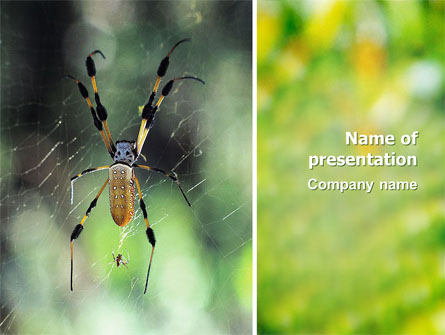 Spider Presentation Template, Master Slide