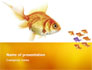 Goldfish slide 1