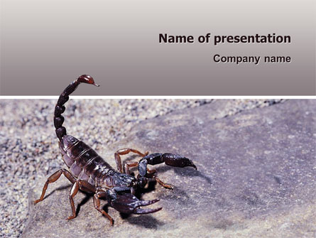Scorpion Presentation Template, Master Slide