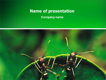 Ants Presentation Template, Master Slide