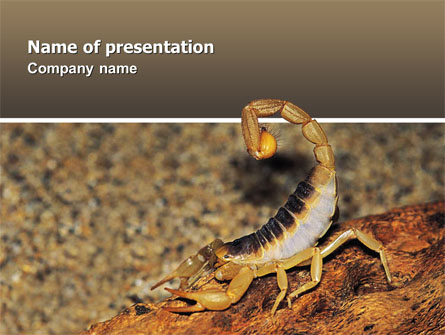 Desert Hairy Scorpion Presentation Template, Master Slide
