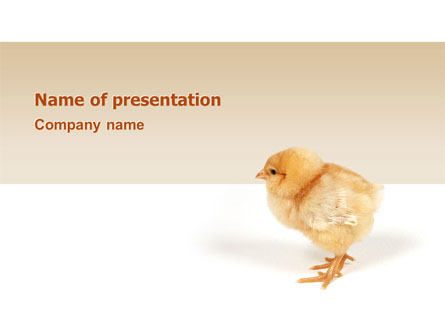 Chicken Presentation Template, Master Slide