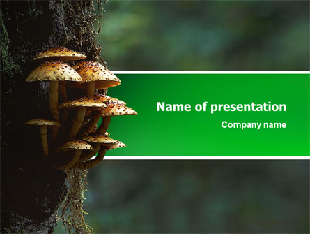 Fungi In The forest Presentation Template, Master Slide