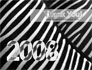 Zebra 2008 slide 20