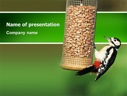 Birdfeeder Presentation Template, Master Slide