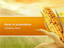 Corn Thanksgiving Free slide 1
