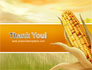 Corn Thanksgiving Free slide 20