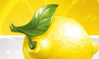Yellow Lemon Presentation Template