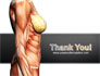 Female Anatomy Muscular Corset slide 20