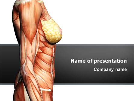 Female Anatomy Muscular Corset Presentation Template, Master Slide