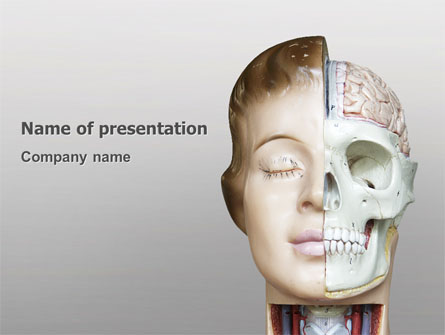 Skull As Anatomy Tutorial Presentation Template, Master Slide