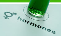 Hormones Presentation Template