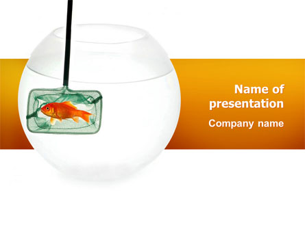 Goldfish In The Nets Presentation Template, Master Slide