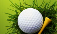 Golf Ball In The Nest Presentation Template