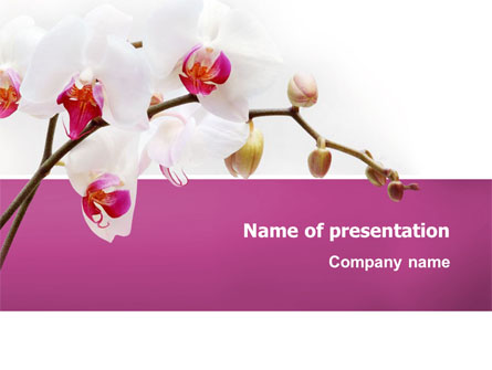Bouquet Of Flowers Presentation Template, Master Slide