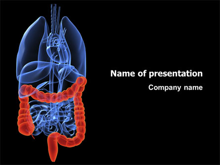 Bowels Presentation Template, Master Slide