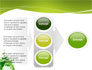 Green Environment slide 11