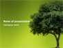 Green Tree On Light Olive Background slide 1