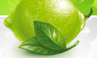 Green Lemon Presentation Template