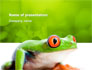 Tropical Green Frog slide 1