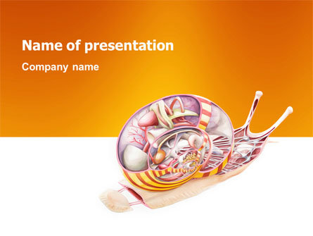 Snail Presentation Template, Master Slide