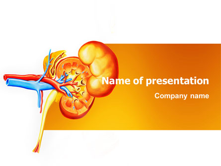 Kidneys Presentation Template, Master Slide