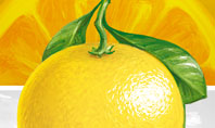 Yellow Citrus Presentation Template