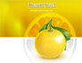 Yellow Citrus slide 20