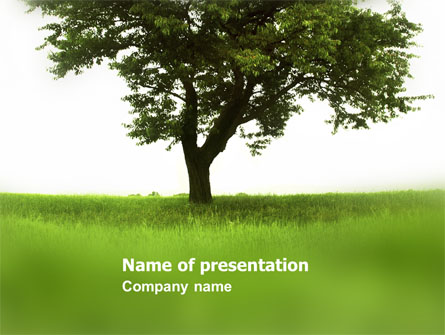 Tree On A Green Meadow Presentation Template, Master Slide
