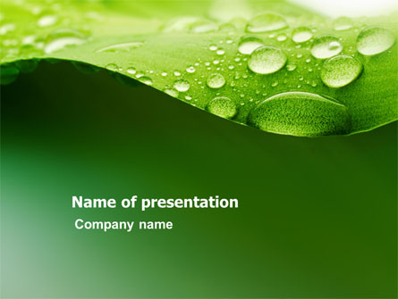Fresh Dew On The Green Leaf Presentation Template, Master Slide