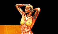Female Body Anatomy Presentation Template