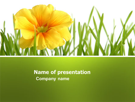 Yellow Flower In A Green Grass Presentation Template, Master Slide
