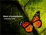 Butterfly Effect slide 1