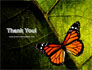 Butterfly Effect slide 20