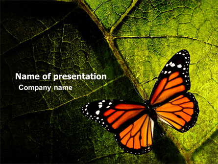 Butterfly Effect Presentation Template, Master Slide