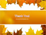 Yellow Leaves Frame slide 20