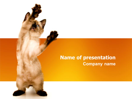 Kitten Presentation Template, Master Slide