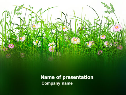 Wildflowers Field Presentation Template, Master Slide