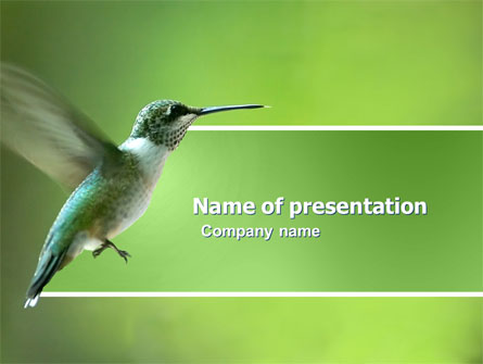 Colibri Presentation Template, Master Slide