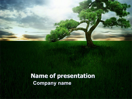 Solitary Tree Presentation Template, Master Slide