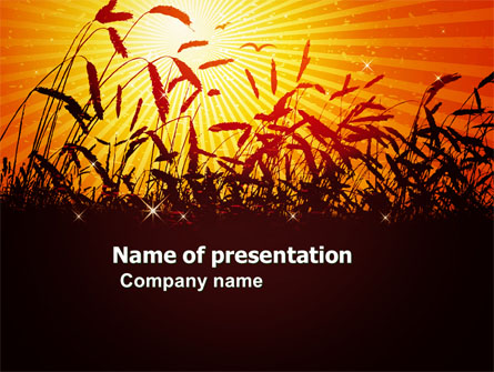 Sunny Field Presentation Template, Master Slide