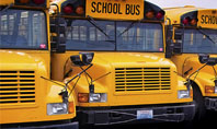 School Bus Line Presentation Template