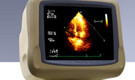 Ultrasound Presentation Template